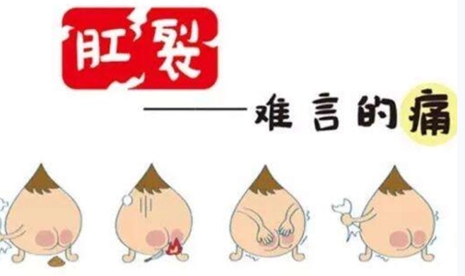 微信截图_20240125143447